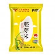 东北大米胚芽米大米新米500g
